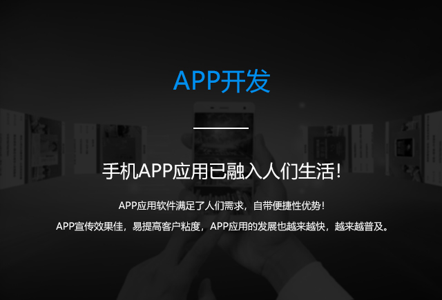 大尚网络网站建设、大尚网络软件开发